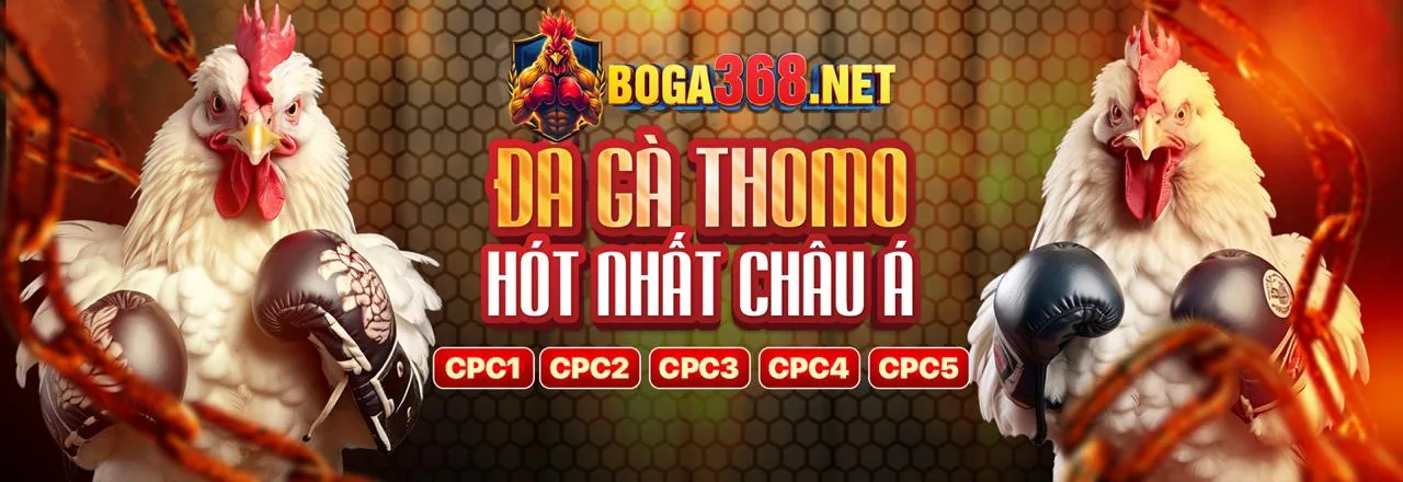 Một collage năng động của các môn thể thao khác nhau như bóng đá, bóng rổ, tennis và eSports, thể hiện sự đa dạng của cubet