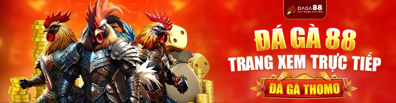 Đấu trường đá gà sôi động tại cubet trang chủ chính thức
